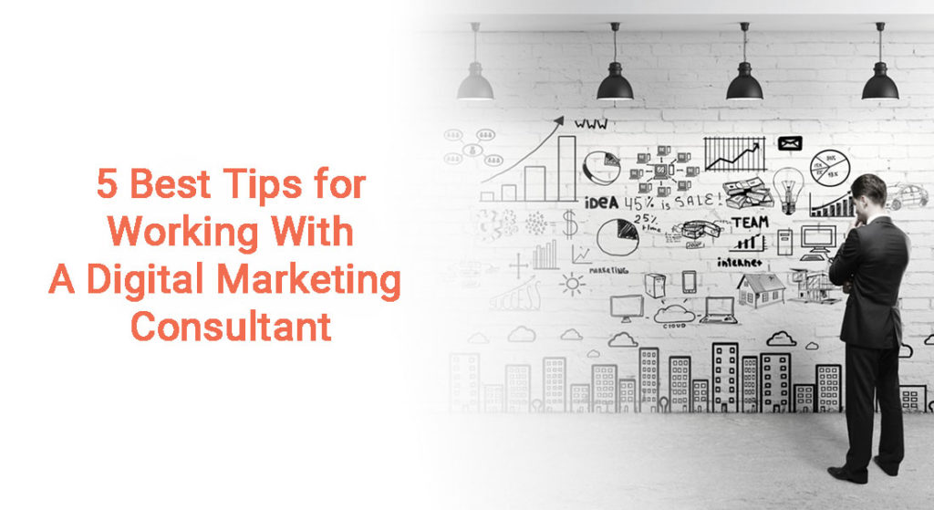 tips-for-working-with-a-digital-marketing-consultant
